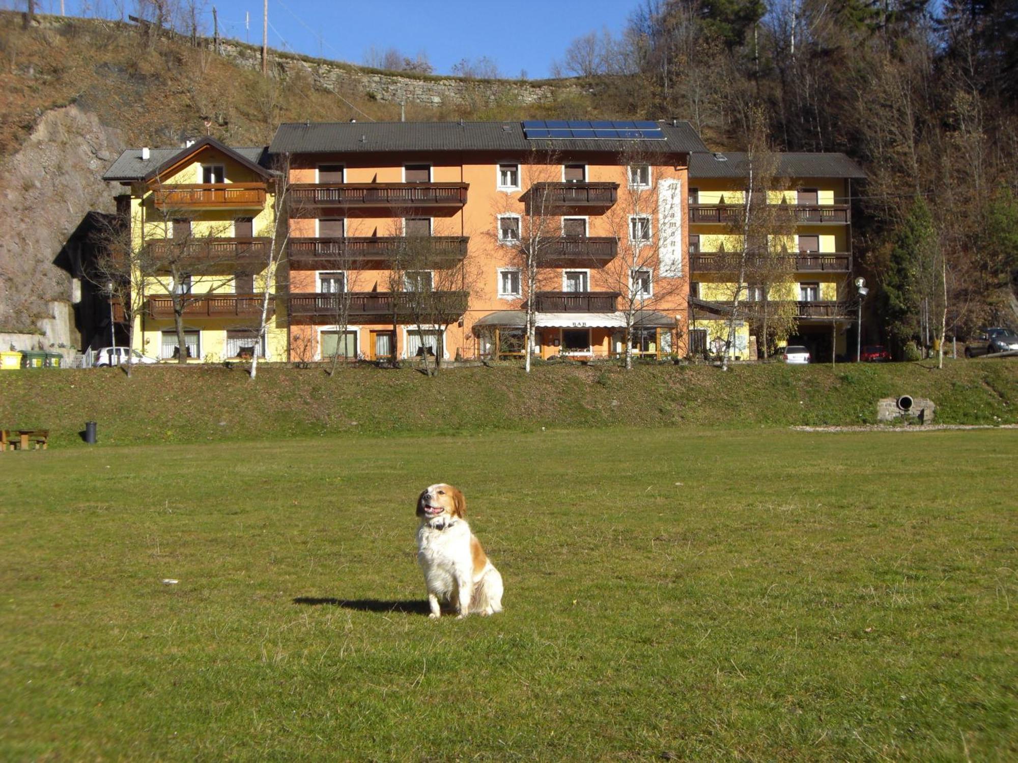 Hotel Miramonti Bedollo Bagian luar foto